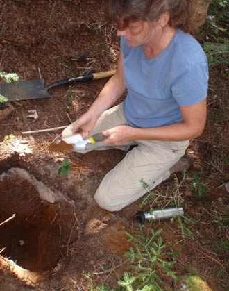 Soil testing for site evaluation